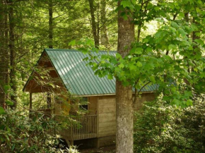 Holly Nest a Cozy Cabin Getaway near Gatlinburg
